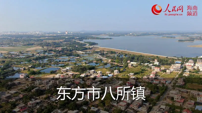 东方市八所镇